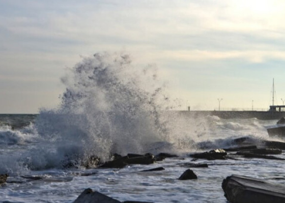 �����������, ����� �&nbsp;��������� ��&nbsp;������: �&nbsp;������ ���� ������ Rapunzel 