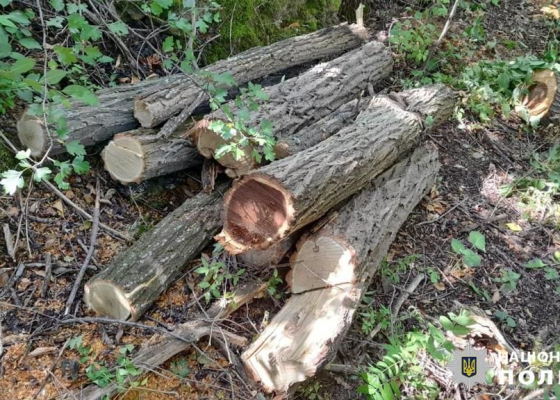 ������� �������� ����� ��&nbsp;60&nbsp;����� ������: ������ ������ ������ ������� ������� ��&nbsp;���&nbsp;���� (����) 