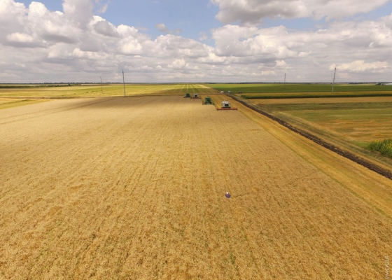 �������� ��&nbsp;�������� �������� �&nbsp;�������� ����������: ���&nbsp;������ ������� ��������� ���� 