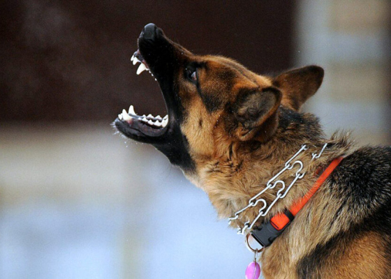 �&nbsp;������ ����������� ������ ��&nbsp;����� ������ ������ ��&nbsp;������������ 