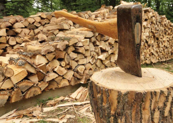 ������ ������ �����������: �������� �������������� �������� �������� ��&nbsp;������� ���� 