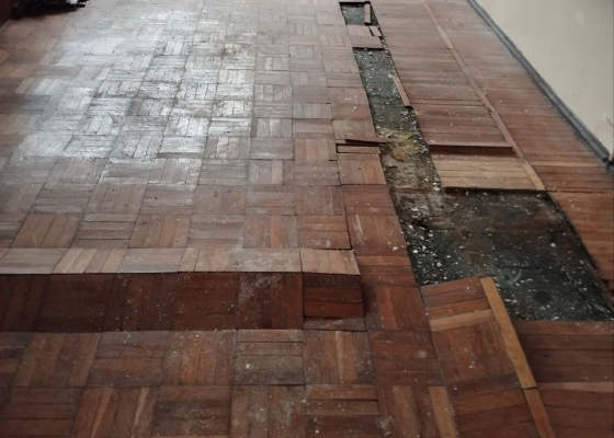 Университет Мечникова буквально разваливается, а его главный «националист» годами не замечал русский культурный центр (колонка)