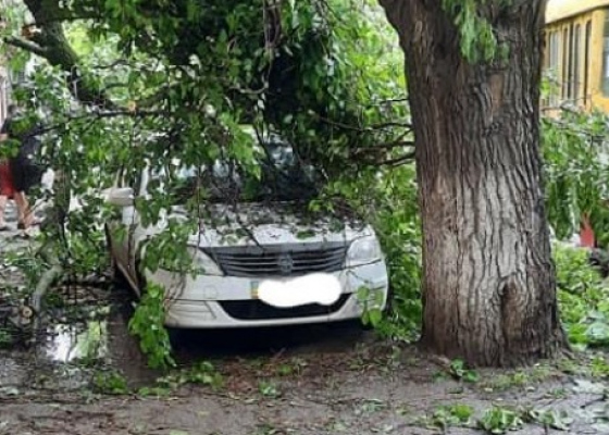 ��&nbsp;������������� ���������� ��-�� �������� ��&nbsp;������ ������ ��������� �������� (����) 