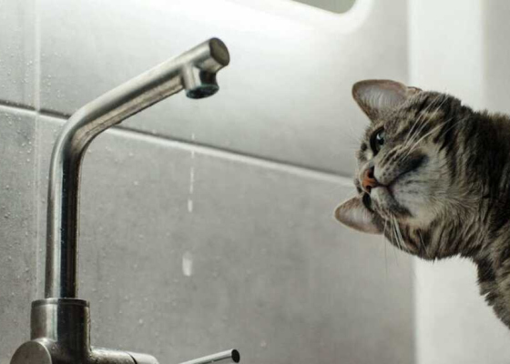 � ���� �� 16 ������ ������� ����� ������ ��������� ��� ���� 