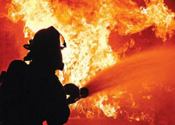 �&nbsp;����������� ������ ����� ������� ���: �������� ������ ������� ������� &nbsp;