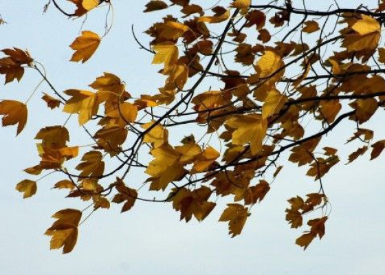 �&nbsp;������ �&nbsp;������� ������������ ��������� ������: ����� ��������� ������� ������ ��&nbsp;����� 