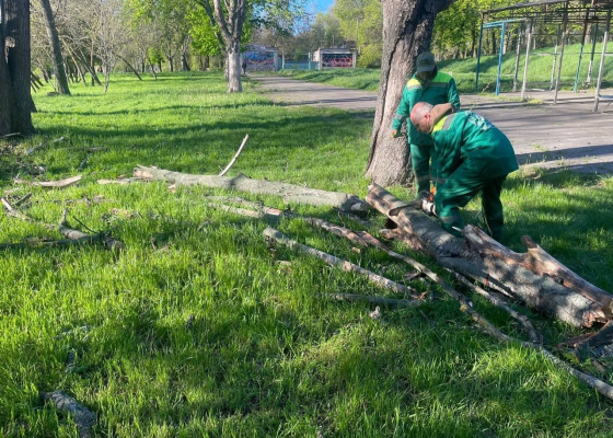 ���������� �������� �������� �&nbsp;������ 85&nbsp;�������� �&nbsp;�����, ���� ��&nbsp;���� ������ ������� +17&nbsp;�&nbsp;����� 