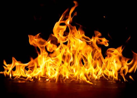 ������ �&nbsp;������: ������������ ������������� ����� ��&nbsp;������, ���� ������������ (����������) &nbsp;