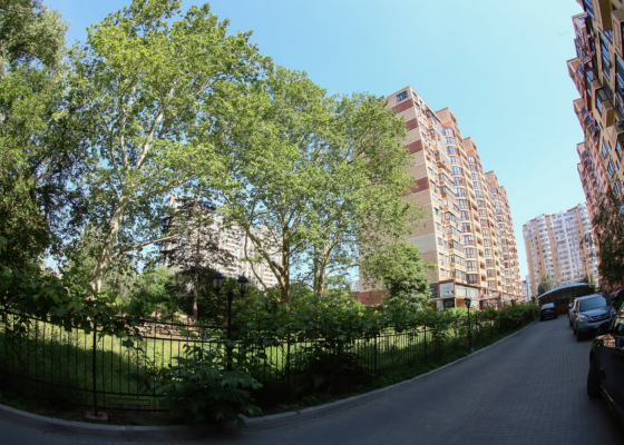 ������ ��&nbsp;�����? ���������� �������� ����� ��&nbsp;&laquo;�������&raquo; ����� �&nbsp;��������� �&nbsp;���� �&nbsp;�������� ������ 