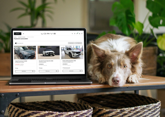 �&nbsp;������ ���������� ����� UDRIVE: ��� ���� ��&nbsp;��������� ������ ����� ����� ������ �&nbsp;������ ������ (��&nbsp;������ �������) 