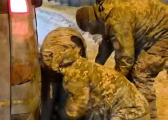 ������ ���� ����������������: �&nbsp;�������� ���&nbsp;�������, ���&nbsp;����� ����� �������� ������� (�����) 