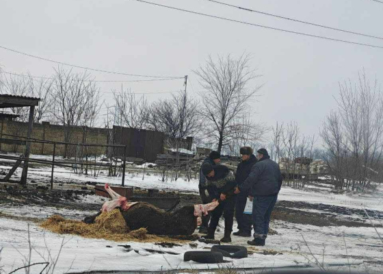 ������� �&nbsp;����� ��&nbsp;������: ���&nbsp;������� ���������� ������ ������� ���&nbsp;���&nbsp;(����, �����) 